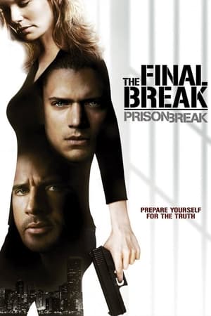 watch Prison Break: The Final Break