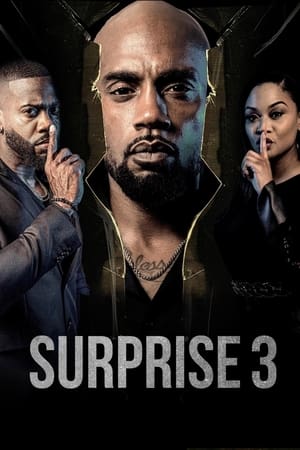 watch Surprise 3