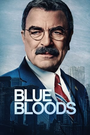 Blue Bloods-hd