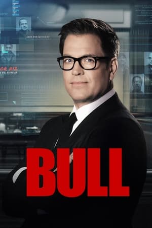 Bull-hd