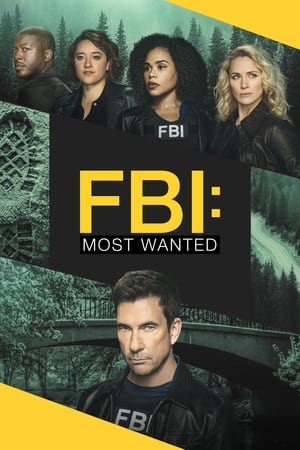 FBI: Most Wanted-hd