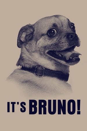 It's Bruno!-hd