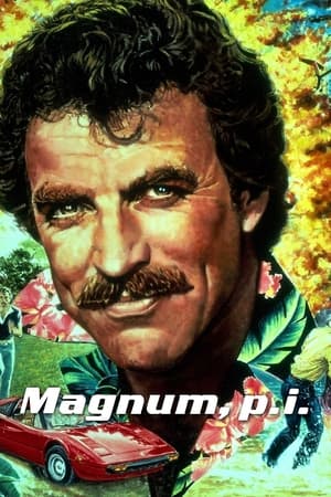 Magnum P.I.-hd