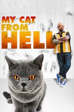 My Cat from Hell-hd