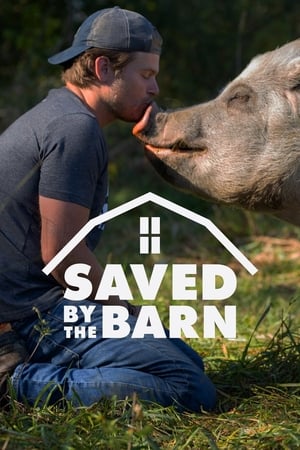 Saved By The Barn-hd