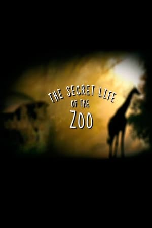 The Secret Life of the Zoo-hd